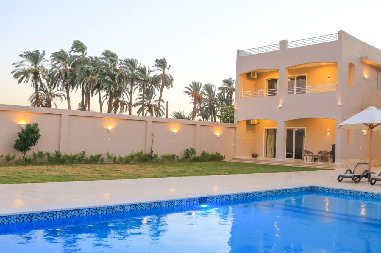 Royal Nile Villa - Pool View Apartment 1 Λούξορ Εξωτερικό φωτογραφία