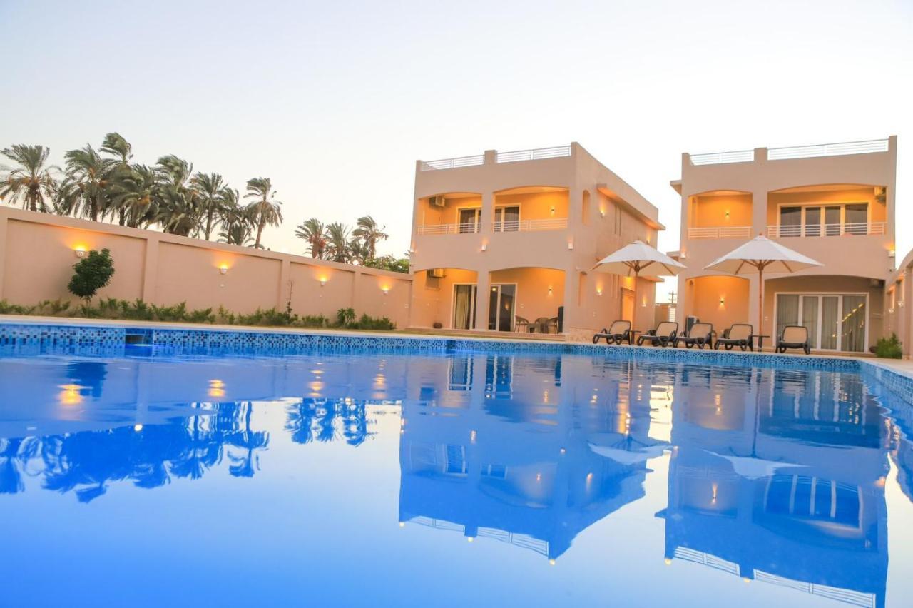 Royal Nile Villa - Pool View Apartment 1 Λούξορ Εξωτερικό φωτογραφία
